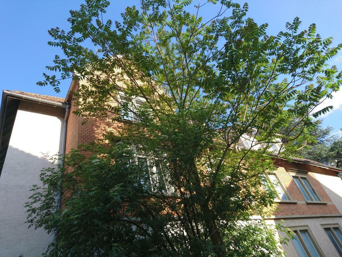 Nest City - Not A Hotel, Private Room With Shared Showers, No Parking, Breakfast, Or Kitchen, Towels Available For A Fee, Check-In 4 Pm To 11 Pm Konstanz Exterior photo